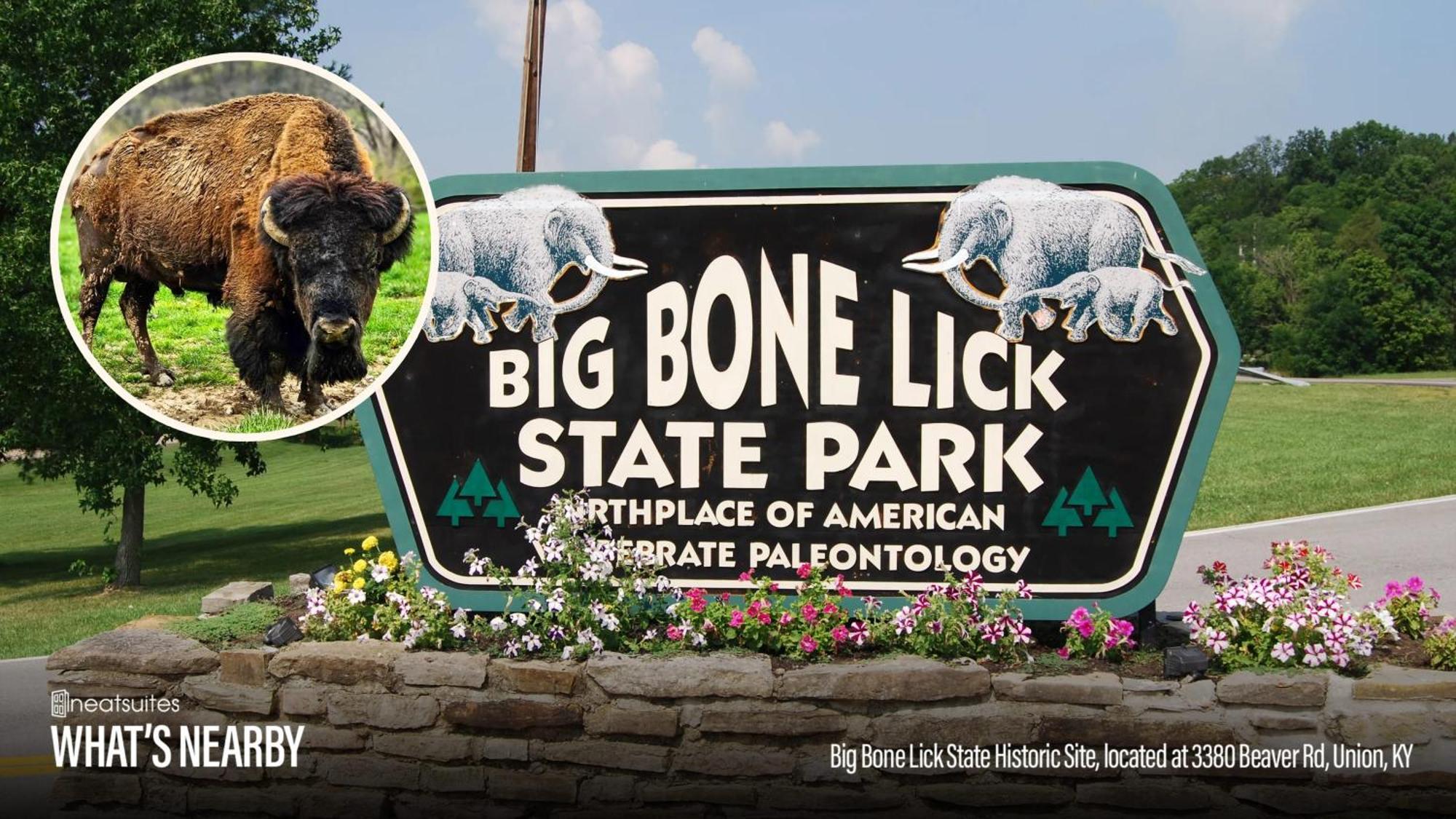 The Lodges At Eden Reserve - Cabins Near Ark ウィリアムズタウン エクステリア 写真